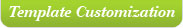 Template Customization